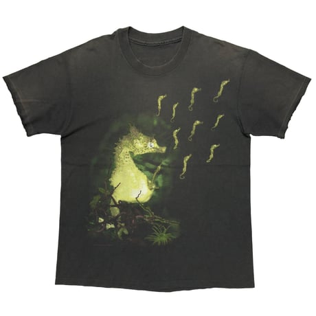 NIRVANA SEAHORSE ALL APOLOGIES FITS LARGE 1963