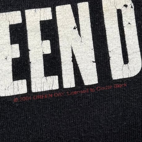 GREEN DAY AMERICAN IDIOT 2004 CINDER BLOCK FITS LARGE 5560