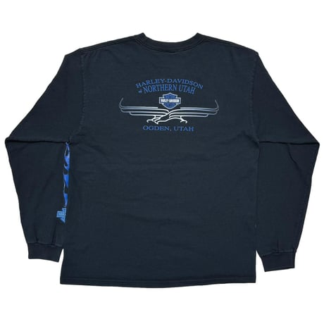 HARLEY DAVIDSON	BLUE FLAME LOGO OGDEN UTAH LS LARGE 5370