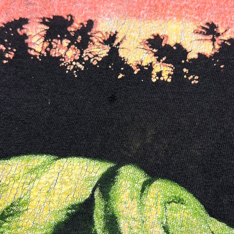 JURASSIC PARK 1993 T-REX SUNSET HANES XL 4600