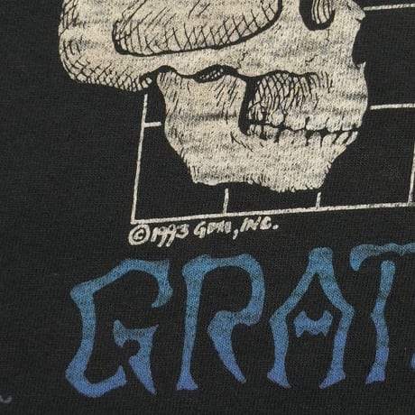 GRATEFUL DEAD 1993 WHAT A LONG STRANGE TRIP IT'S BEEN LIQUID BLUE LARGE 6981