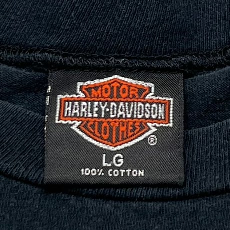 HARLEY DAVIDSON 1991 EAGLE FLAME COLORADO LS LARGE 5961