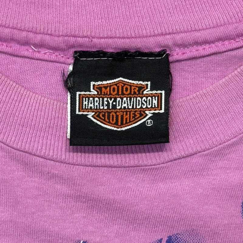 HARLEY DAVIDSON THUNDER & LIGHTNING WORTH KANSA HARLEY DAVIDSON THUNDER & LIGHTNING WORTH KANSA