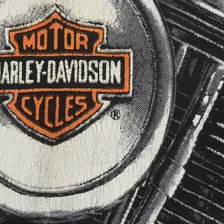 HARLEY DAVIDSON THUNDER & LIGHTNING ENGINE OVP FITS XL 1822