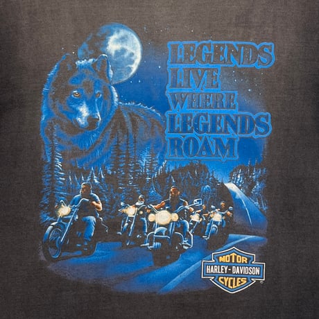 HARLEY DAVIDSON 90s LEGENDS LIVE WHERE LEGENDS ROAM LARGE 2199