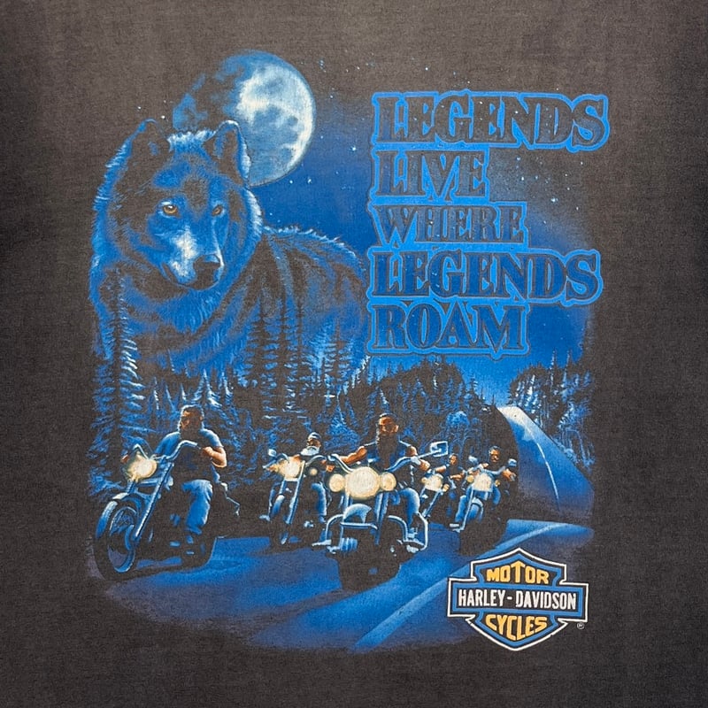 HARLEY DAVIDSON 90s LEGENDS LIVE WHERE LEGENDS 
