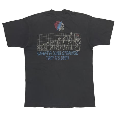 GRATEFUL DEAD 1993 WHAT A LONG STRANGE TRIP IT'S BEEN LIQUID BLUE LARGE 6981