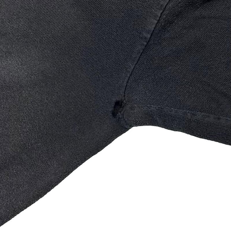 HARLEY DAVIDSON WILD BOAR GRAND RAPIDS FADED PO