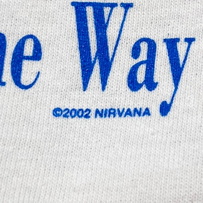 NIRVANA 2002 NEVERMIND ALSTYLE MEDIUM 7677 | gr