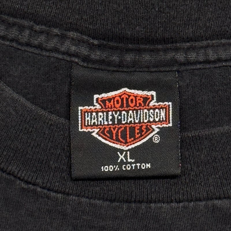 HARLEY DAVIDSON 1993 ROEDER BLUE FIRE FLAME LS