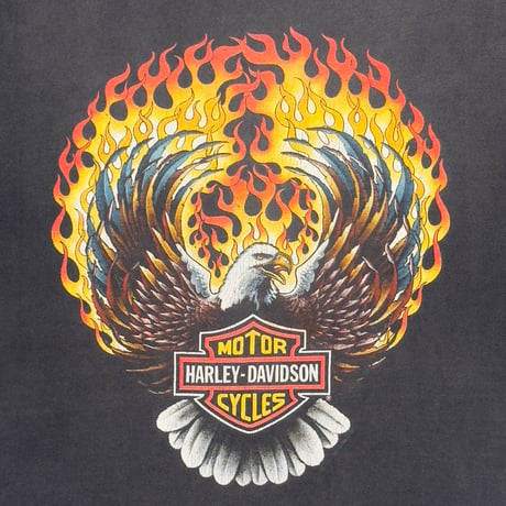 HARLEY DAVIDSON FLAME EAGLE XL 0783