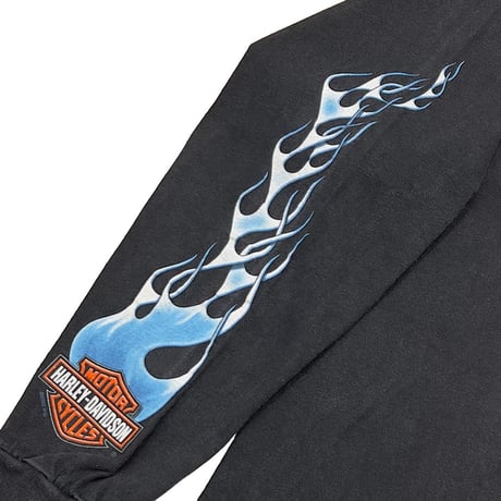 HARLEY DAVIDSON 2002 BLUE FLAME EAGLE WISCONSIN POCKET LS XL 3782