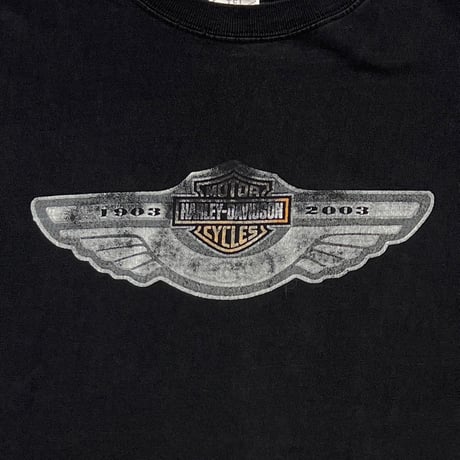 HARLEY DAVIDSON 1903-2003 LIGI BACK MOTORCYCLE LARGE 0731