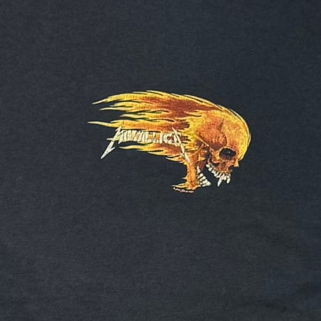METALLICA PUSHEAD VAMPIRE SKULL SIDE FLAME BIRTH SCHOOL LS SCREEN STARS LARGE 7902