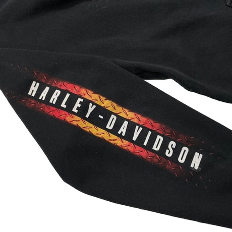 HARLEY DAVIDSON Dallas Texas IRON LOGO HOODED SWEATSHIRT LARGE 4091