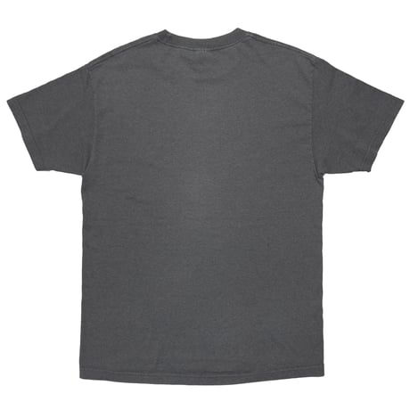 PINK FLOYD P.U.L.S.E GREY ALSTYLE LARGE 3828