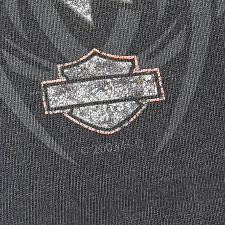 HARLEY DAVIDSON SPIDER LS POLSKA WARSAW,POLAND FITS MEDIUM 3060