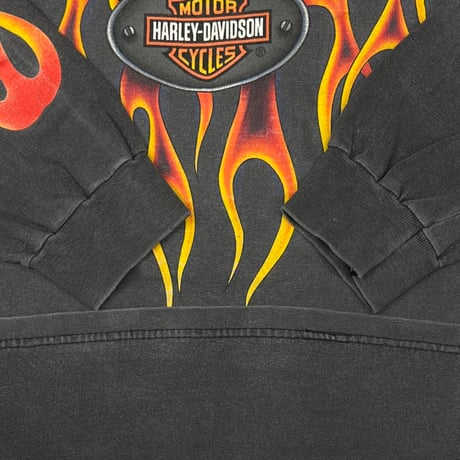 HARLEY DAVIDSON 2000 FLAME EAGLE LS SANTA CRUZ HANES LARGE 2253