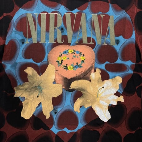 NIRVANA HEART SHAPED BOX ACME LARGE 9546