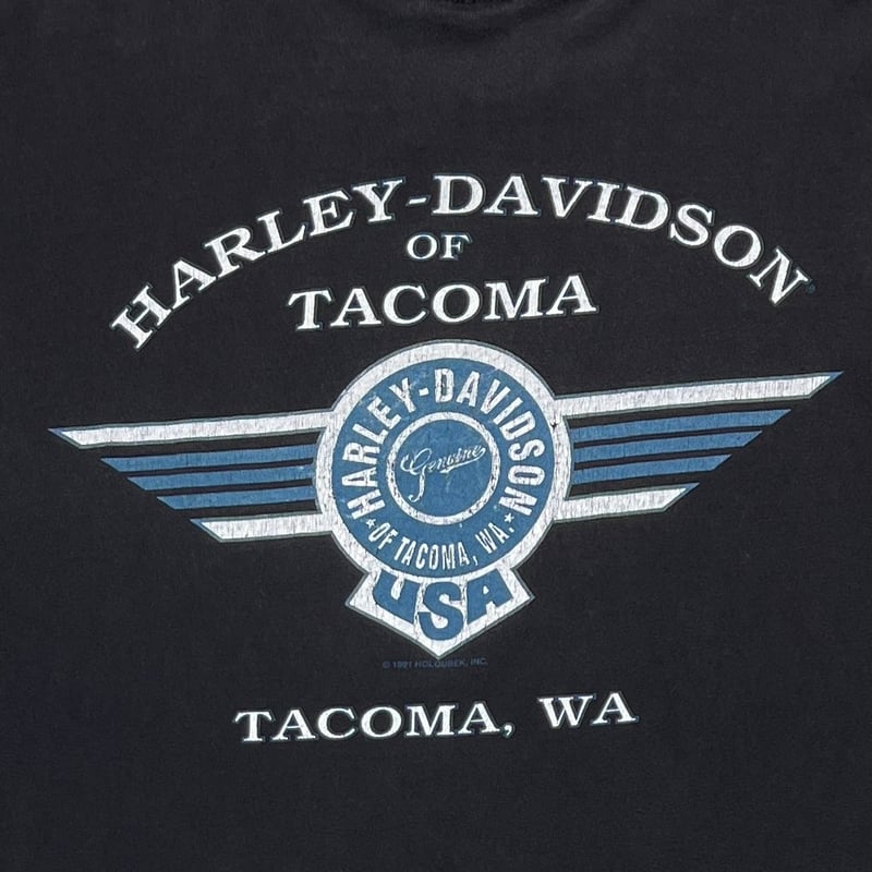 HARLEY DAVIDSON CHROME SWEET CHROME LS XL 5519