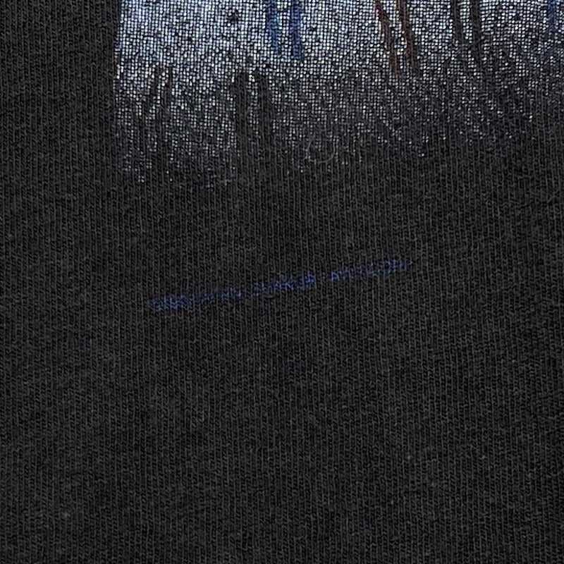 2PAC ALL EYES ON ME TULTEX XL 2787 | greatLAnd