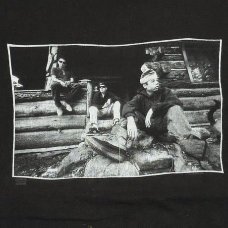 BEASTIE BOYS CHECK YOUR HEAD Hanes XL 9403