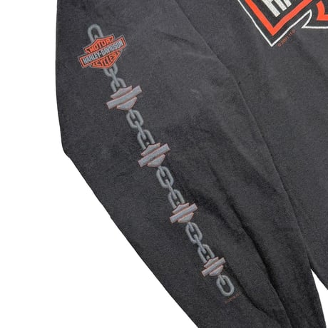 HARLEY DAVIDSON BIG EMBLEM ARM CHAIN PRINT 2001 TWIN STATES LS LARGE 3780