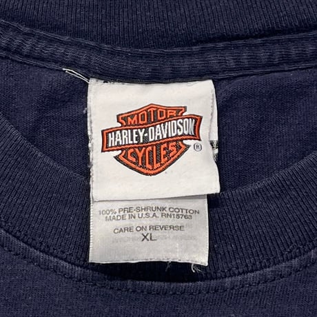HARLEY DAVIDSON 2000 STUGIS BLUE ARM FLAMING SOUTH DAKOTA LS NAVY HANES XL 8734