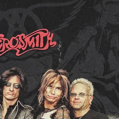 AEROSMITH JUST PUSH PLAY SORAYAMA FITS LARGE 9365