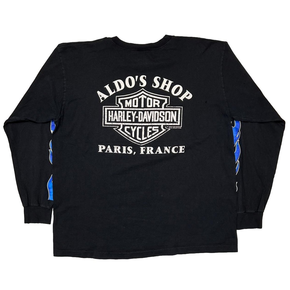 HARLEY DAVIDSON BLUE FIRE FLAME ロンT Harley Davidson ブルー