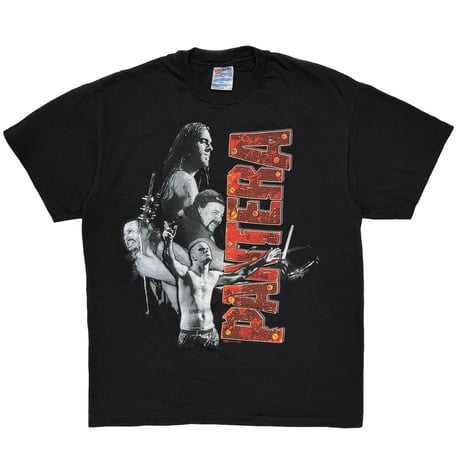 PANTERA FAR BEYOND DRIVEN HANES LARGE 4104