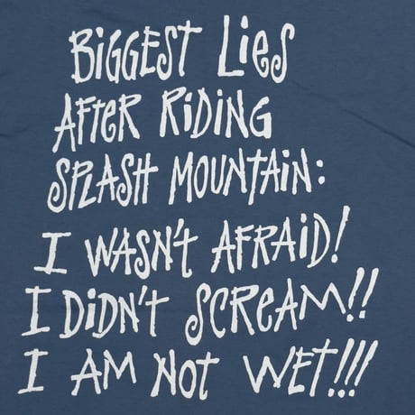 DISNEY VINTAGE SPLASH MOUNTAIN BLUE LARGE 5365