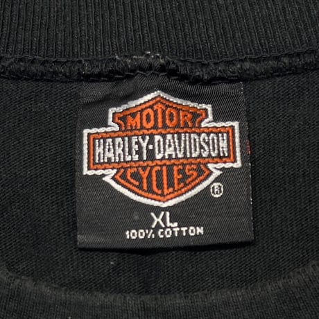 HARLEY DAVIDSON TURQUOISE BLUE EMBLEM Doug's FLAME LS XL 1888