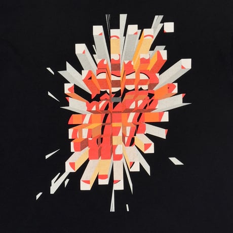 ROLLING STONES LIP & TONGUE A BIGGER BANG 2006 anvil XL 5491