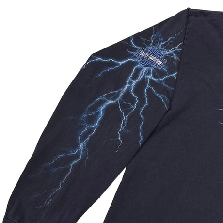 HARLEY DAVIDSON BLUE LIGHTNING THUNDER LS XL 8164
