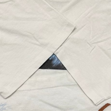 TINA TURNER Simply the Best WHITE anvil LARGE 4289