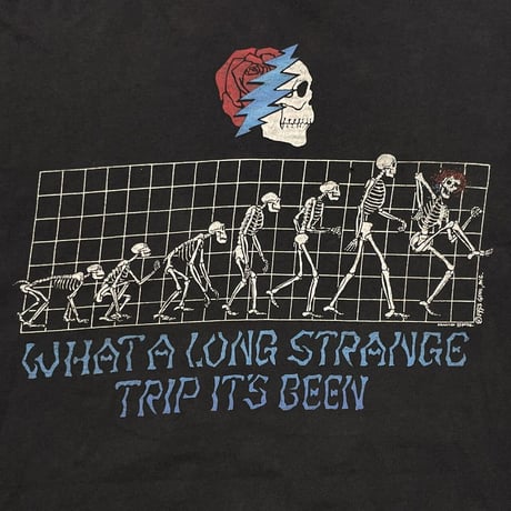 GRATEFUL DEAD 1993 WHAT A LONG STRANGE TRIP IT'S BEEN FRUIT OF THE LOOM XL 5005