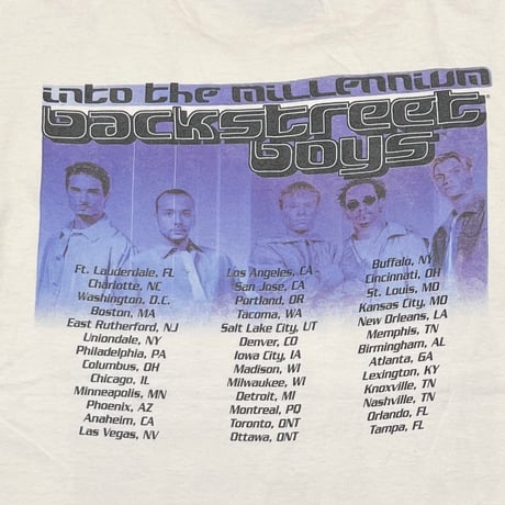 BACKSTREET BOYS MILLENNIUM WHITE TULTEX MEDIUM 3393