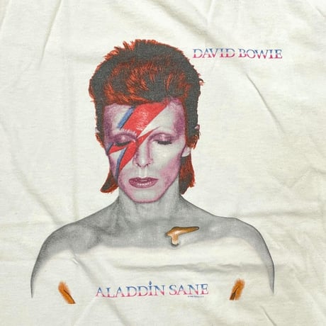 DAVID BOWIE ALADDIN SANE 1998 DELTA XL 7870