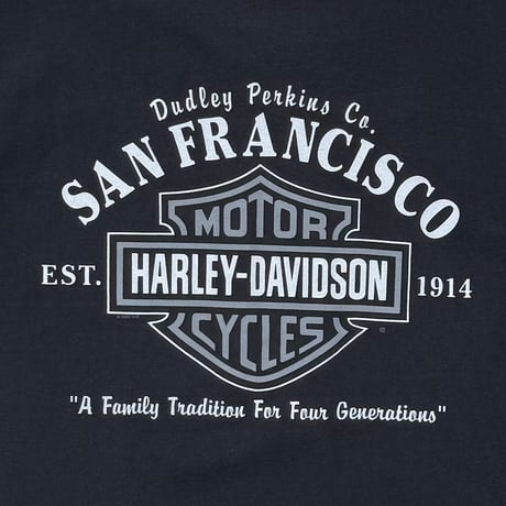 HARLEY DAVIDSON SPIDER LS SAN FRANCISCO LARGE 8253