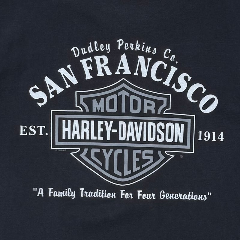 HARLEY DAVIDSON SPIDER LS SAN FRANCISCO LARGE 8