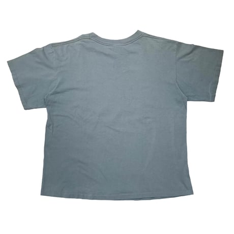 KERMIT CLEIN UNDER WHERE? TEE CHANGES XL 4397