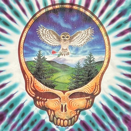 GRATEFUL DEAD EUGENE,OR. AUG 21,22,1993 TIEDYE ANVIL LARGE 4833