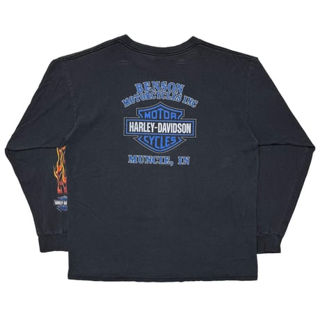 HARLEY DAVIDSON EAGLE FLAMING LS BENSON MOTOR CYCLE 2000 XL 1002