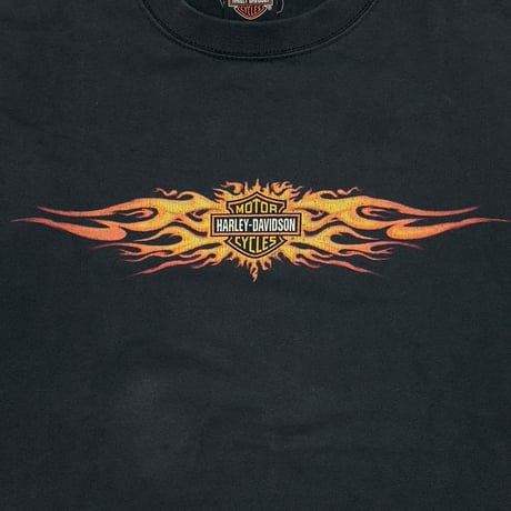 HARLEY DAVIDSON RAY PRICE FLAME EMBLEM LS LARGE 7397