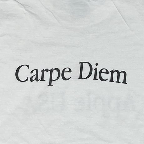Apple SMALL MULTI COLLER LOGO Apple USA Carpe Diem WHITE ONEITA XL 9046