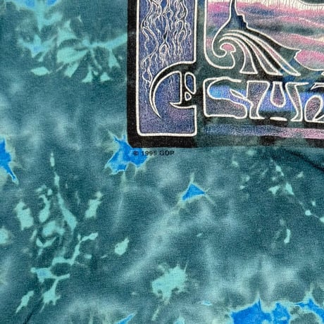GRATEFUL DEAD Y2K SUMMER 1995 TIE DYE Hanes LARGE 6370