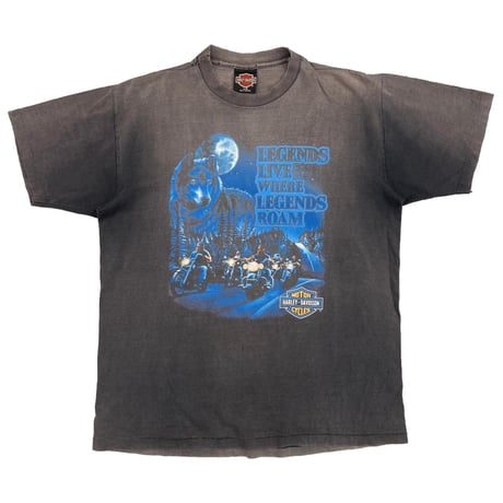 HARLEY DAVIDSON 90s LEGENDS LIVE WHERE LEGENDS ROAM LARGE 2199