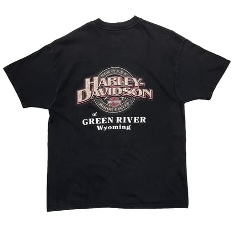 HARLEY DAVIDSON RED FLAME OF GREEN RIVER WYOMING XL 5756