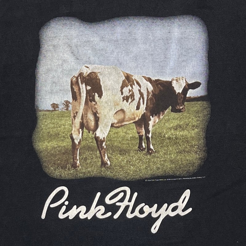 00s Y2K｜Pink Floyd｜Mサイズ｜フェード｜両面プリント Pink Floyd / ピンクフロイド バンドTシャツ レアデザイン